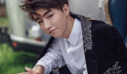 王海鑫爆料王俊凯视频,事件背后真相揭秘