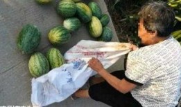 河间吃瓜最新事件爆料,揭秘背后惊人真相，网络热议持续升温